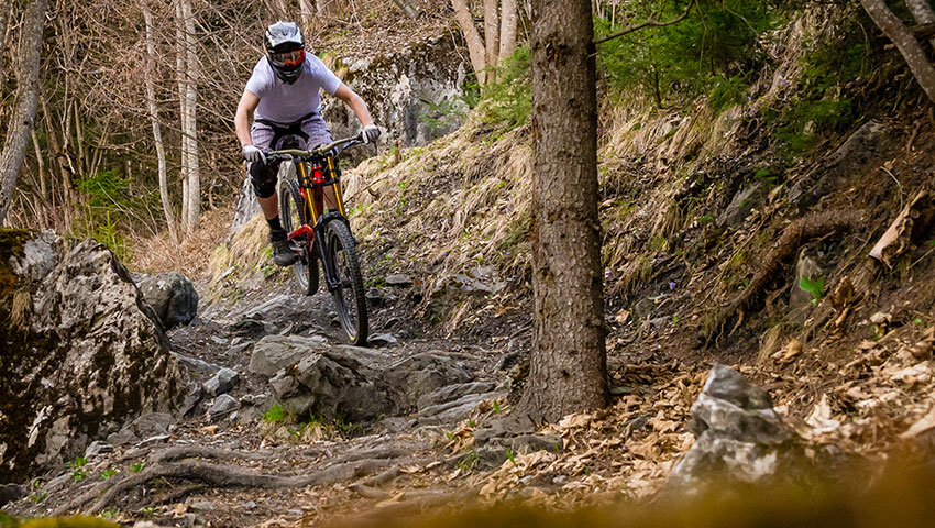 Mountain biker elasticinterface downhill consigli